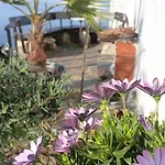 Сasa de vacaciones Casa Madera 2 *
